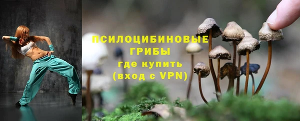 ешки Пестово