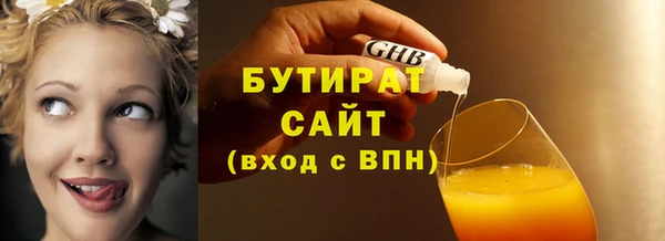 дмт Ельня