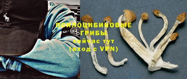 гидропоника Дедовск