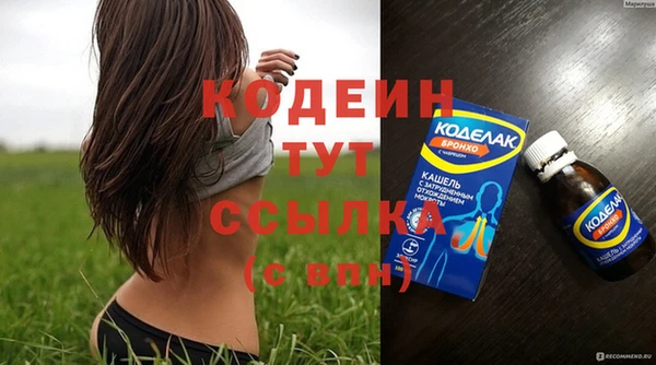 прущий лед Пересвет