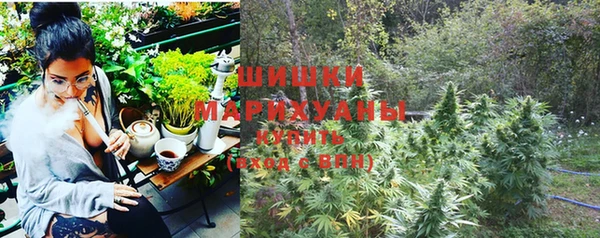 прущий лед Пересвет