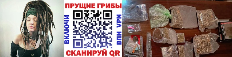 Галлюциногенные грибы GOLDEN TEACHER  Кирово-Чепецк 