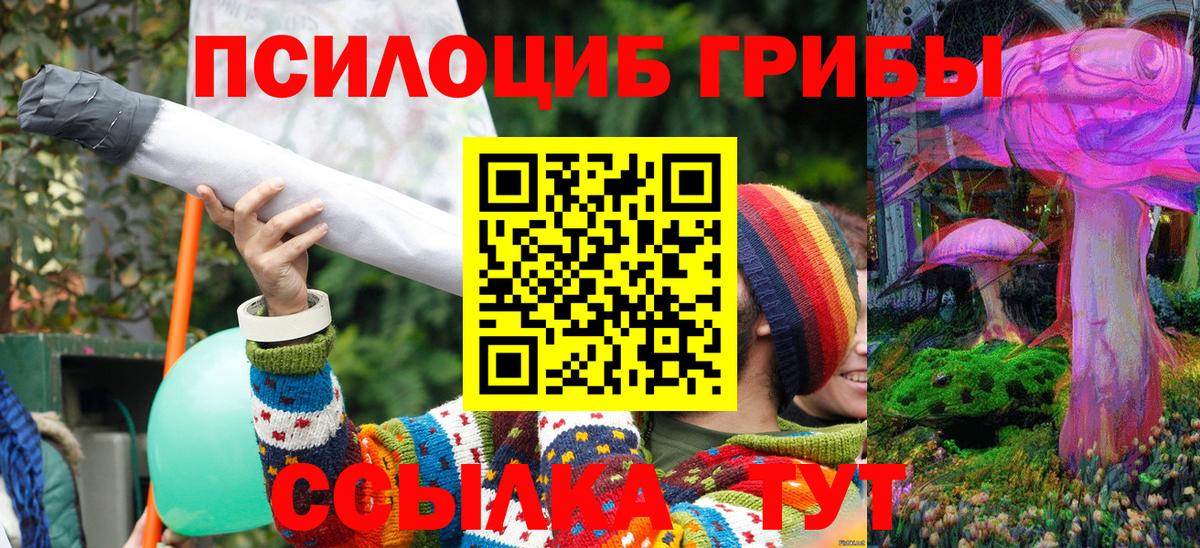 Галлюциногенные грибы Psilocybe Кирово-Чепецк